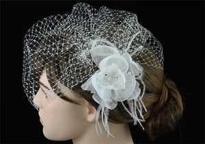 Bridal Wedding Off White Birdcage Netting Veil with Feathers Fascinator Flower XT1566