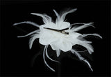 Bridal Wedding Fascinator Light Ivory Feather Handmade Hair Flower XT1573