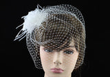 Bridal Birdcage Netting Veil Feathers Fascinator White Hair Flower XT1659