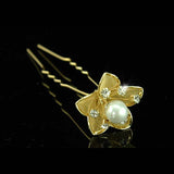6 pcs X Bridal Gold Plated Pearl Crystal Flower Hair Pins XP1121